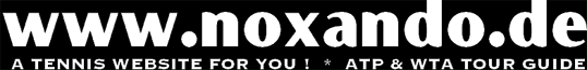 NOXANDO LOGO